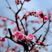 ヒメ日記 2026/02/06 19:06 投稿 田村美紀 五十路マダム 岐阜店