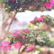 ヒメ日記 2026/02/11 07:44 投稿 田村美紀 五十路マダム 岐阜店