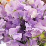 ヒメ日記 2026/02/17 19:02 投稿 田村美紀 五十路マダム 岐阜店