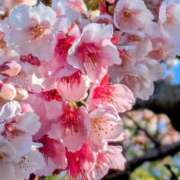 ヒメ日記 2026/02/18 19:40 投稿 田村美紀 五十路マダム 岐阜店