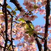 ヒメ日記 2026/02/19 22:28 投稿 田村美紀 五十路マダム 岐阜店