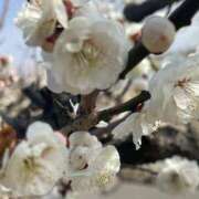 ヒメ日記 2026/02/24 20:02 投稿 田村美紀 五十路マダム 岐阜店