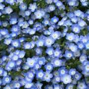 ヒメ日記 2026/02/26 05:30 投稿 田村美紀 五十路マダム 岐阜店