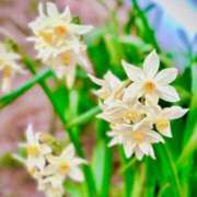 ヒメ日記 2026/02/28 05:30 投稿 田村美紀 五十路マダム 岐阜店