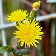 ヒメ日記 2026/02/28 18:36 投稿 田村美紀 五十路マダム 岐阜店