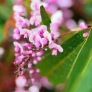 ヒメ日記 2026/03/07 05:30 投稿 田村美紀 五十路マダム 岐阜店