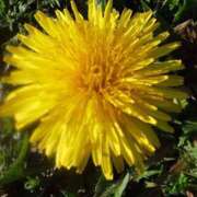 ヒメ日記 2026/03/09 05:30 投稿 田村美紀 五十路マダム 岐阜店