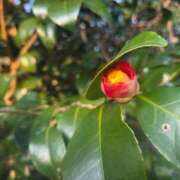 ヒメ日記 2026/03/14 19:04 投稿 田村美紀 五十路マダム 岐阜店