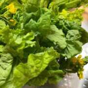 ヒメ日記 2026/03/18 05:30 投稿 田村美紀 五十路マダム 岐阜店