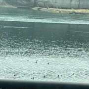 ヒメ日記 2026/03/30 05:30 投稿 田村美紀 五十路マダム 岐阜店