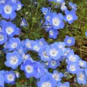 ヒメ日記 2026/04/03 19:02 投稿 田村美紀 五十路マダム 岐阜店