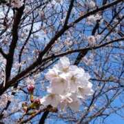 ヒメ日記 2026/04/04 13:06 投稿 田村美紀 五十路マダム 岐阜店