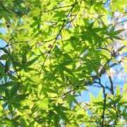 ヒメ日記 2026/04/10 05:30 投稿 田村美紀 五十路マダム 岐阜店