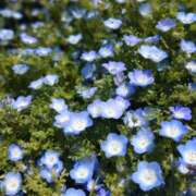 ヒメ日記 2026/04/20 19:02 投稿 田村美紀 五十路マダム 岐阜店