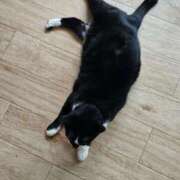 ヒメ日記 2025/04/28 00:15 投稿 ひまわり 熟女22時