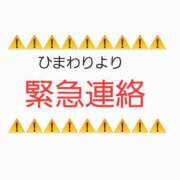 ヒメ日記 2025/05/22 11:31 投稿 ひまわり 熟女22時