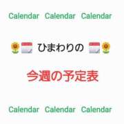 ヒメ日記 2025/10/13 08:31 投稿 ひまわり 熟女22時