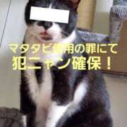 ヒメ日記 2025/11/14 11:00 投稿 ひまわり 熟女22時