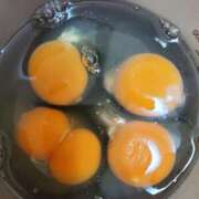 ヒメ日記 2025/11/26 11:00 投稿 ひまわり 熟女22時