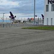 ヒメ日記 2025/11/26 13:15 投稿 ひまわり 熟女22時