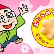 ヒメ日記 2025/11/28 06:15 投稿 ひまわり 熟女22時