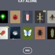 ヒメ日記 2025/11/28 13:15 投稿 ひまわり 熟女22時