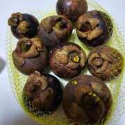 ヒメ日記 2025/12/02 06:15 投稿 ひまわり 熟女22時