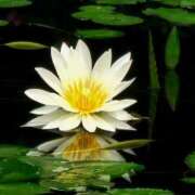 ヒメ日記 2025/12/06 11:00 投稿 ひまわり 熟女22時