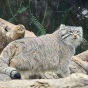 ヒメ日記 2025/12/06 13:15 投稿 ひまわり 熟女22時