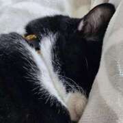 ヒメ日記 2025/12/09 13:15 投稿 ひまわり 熟女22時