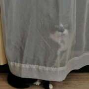 ヒメ日記 2025/12/17 10:45 投稿 ひまわり 熟女22時