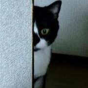 ヒメ日記 2025/12/17 13:15 投稿 ひまわり 熟女22時