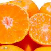 ヒメ日記 2025/12/27 06:15 投稿 ひまわり 熟女22時