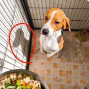 ヒメ日記 2026/01/03 10:45 投稿 ひまわり 熟女22時