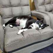 ヒメ日記 2026/02/01 06:15 投稿 ひまわり 熟女22時