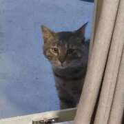 ヒメ日記 2026/02/04 06:15 投稿 ひまわり 熟女22時