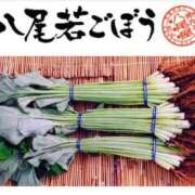 ヒメ日記 2026/02/27 13:15 投稿 ひまわり 熟女22時