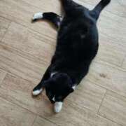 ヒメ日記 2026/02/28 13:15 投稿 ひまわり 熟女22時