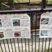 ヒメ日記 2026/03/01 06:15 投稿 ひまわり 熟女22時