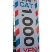 ひまわり 日本人ならでは 熟女22時