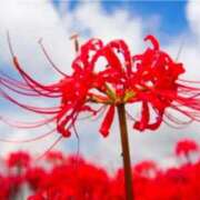 ヒメ日記 2026/03/21 06:15 投稿 ひまわり 熟女22時