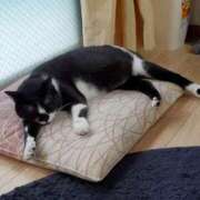 ヒメ日記 2026/04/01 06:15 投稿 ひまわり 熟女22時