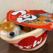 ヒメ日記 2026/04/07 13:15 投稿 ひまわり 熟女22時