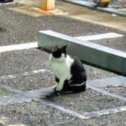 ヒメ日記 2026/04/11 06:15 投稿 ひまわり 熟女22時