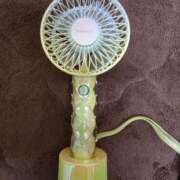 ヒメ日記 2026/04/15 06:15 投稿 ひまわり 熟女22時