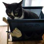 ヒメ日記 2026/04/26 13:15 投稿 ひまわり 熟女22時