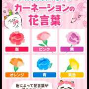 ヒメ日記 2026/05/08 06:15 投稿 ひまわり 熟女22時