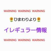 ヒメ日記 2026/05/27 06:15 投稿 ひまわり 熟女22時