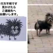 ヒメ日記 2026/06/21 06:15 投稿 ひまわり 熟女22時