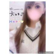 ヒメ日記 2025/03/31 08:09 投稿 アリス La vista （ラビスタ）